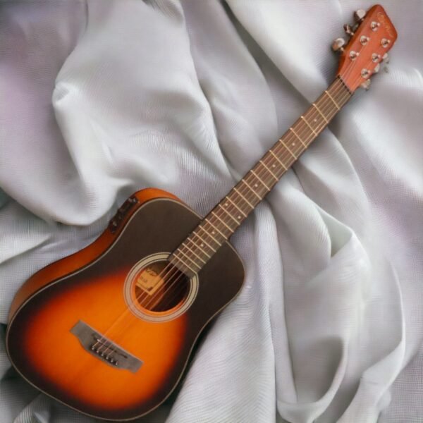 rose-solid-top-36-inch-traveler-semi-acoustic-guitar