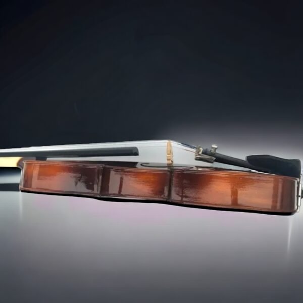 stag-d008-4-4-size-maple-wood-professional-antique-violin