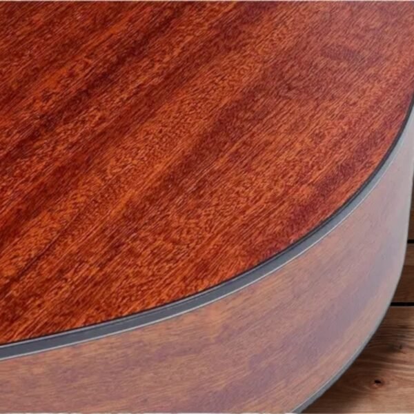 ts-22-mahogany-semi-acoustic-guitar-41-inch